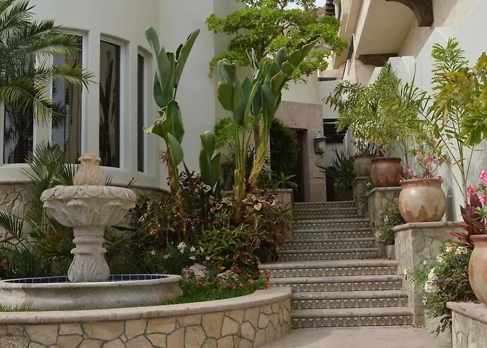 Hotel Las Flores Cabo San Lucas